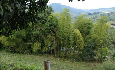 🌄 FINCA CON POTENCIAL TURSTICO Y PRODUCTIVO