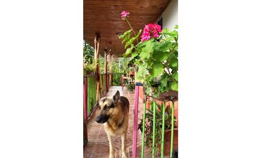 🌄 FINCA CON POTENCIAL TURSTICO Y PRODUCTIVO