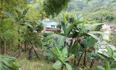 🌄 FINCA CON POTENCIAL TURSTICO Y PRODUCTIVO