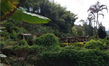 🌄 FINCA CON POTENCIAL TURSTICO Y PRODUCTIVO