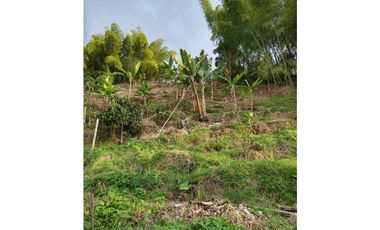 🌄 FINCA CON POTENCIAL TURSTICO Y PRODUCTIVO