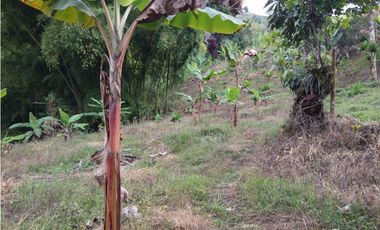 🌄 FINCA CON POTENCIAL TURSTICO Y PRODUCTIVO