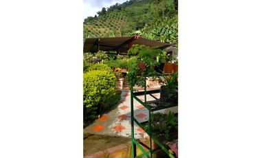 🌄 FINCA CON POTENCIAL TURSTICO Y PRODUCTIVO