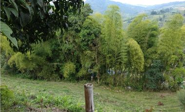 🌄 FINCA CON POTENCIAL TURSTICO Y PRODUCTIVO