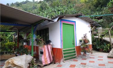 🌄 FINCA CON POTENCIAL TURSTICO Y PRODUCTIVO