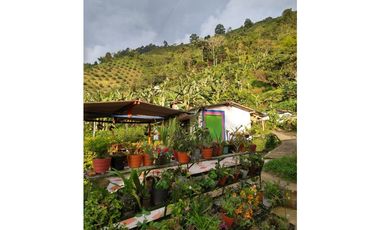 🌄 FINCA CON POTENCIAL TURSTICO Y PRODUCTIVO