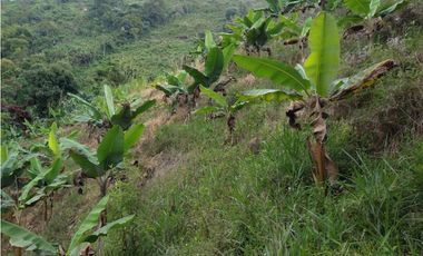 🌄 FINCA CON POTENCIAL TURSTICO Y PRODUCTIVO