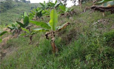 🌄 FINCA CON POTENCIAL TURSTICO Y PRODUCTIVO