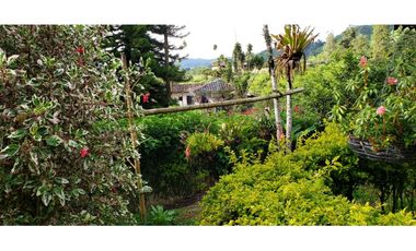 🌄 FINCA CON POTENCIAL TURSTICO Y PRODUCTIVO