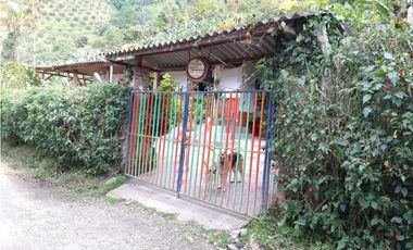 🌄 FINCA CON POTENCIAL TURSTICO Y PRODUCTIVO