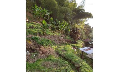 🌄 FINCA CON POTENCIAL TURSTICO Y PRODUCTIVO