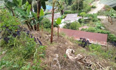 🌄 FINCA CON POTENCIAL TURSTICO Y PRODUCTIVO