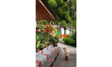 🌄 FINCA CON POTENCIAL TURSTICO Y PRODUCTIVO