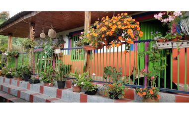 🌄 FINCA CON POTENCIAL TURSTICO Y PRODUCTIVO