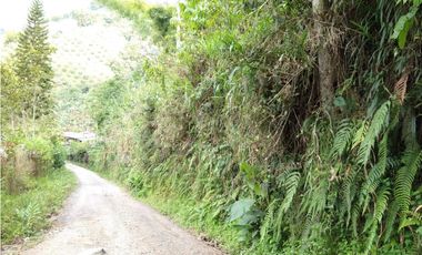 🌄 FINCA CON POTENCIAL TURSTICO Y PRODUCTIVO