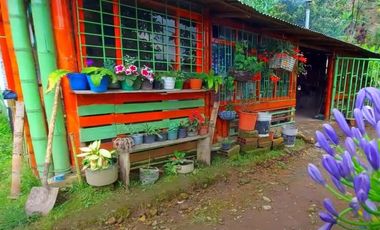 🌿 VENTA FINCA CAFETERA EN SAN JOSÉ – PEREIRA / VA LA FLORIDA ☕