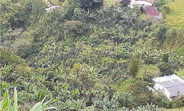 🌿 VENTA FINCA CAFETERA EN SAN JOSÉ – PEREIRA / VA LA FLORIDA ☕