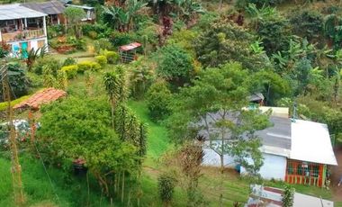 🌿 VENTA FINCA CAFETERA EN SAN JOSÉ – PEREIRA / VA LA FLORIDA ☕