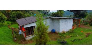 🌿 VENTA FINCA CAFETERA EN SAN JOSÉ – PEREIRA / VA LA FLORIDA ☕