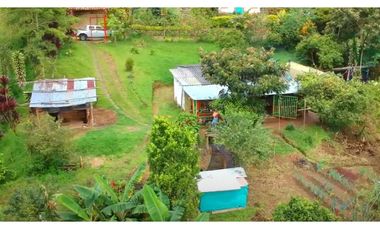 🌿 VENTA FINCA CAFETERA EN SAN JOSÉ – PEREIRA / VA LA FLORIDA ☕