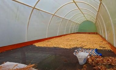 🌿 VENTA FINCA CAFETERA EN SAN JOSÉ – PEREIRA / VA LA FLORIDA ☕