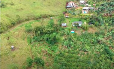 🌿 VENTA FINCA CAFETERA EN SAN JOSÉ – PEREIRA / VA LA FLORIDA ☕