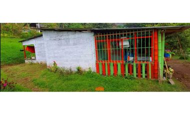 🌿 VENTA FINCA CAFETERA EN SAN JOSÉ – PEREIRA / VA LA FLORIDA ☕