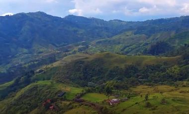 🌿 VENTA FINCA CAFETERA EN SAN JOSÉ – PEREIRA / VA LA FLORIDA ☕