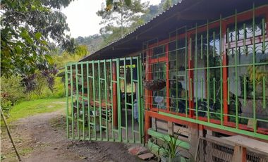 🌿 VENTA FINCA CAFETERA EN SAN JOSÉ – PEREIRA / VA LA FLORIDA ☕