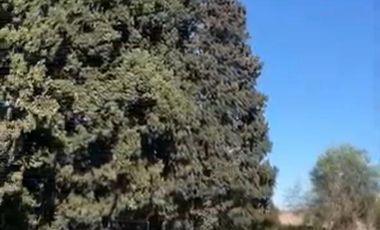 Terreno en venta - ALVEAR