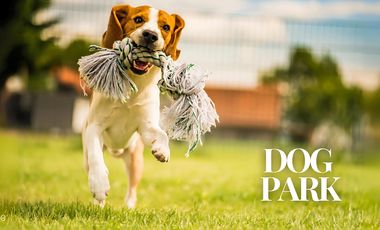 Terreno en Venta | 322 m2 | Coto Monteza | Blvd Arbolada Bosques de Sta. Anita