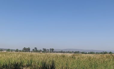 RANCHO AGRÍCOLA EN VENTA EN ZONA BERNAL QUERETARO