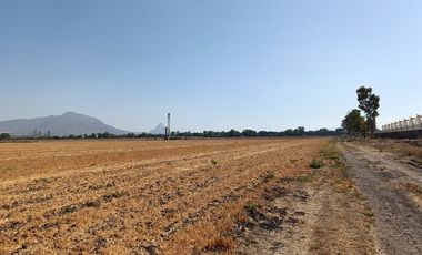 RANCHO AGRÍCOLA EN VENTA EN ZONA BERNAL QUERETARO