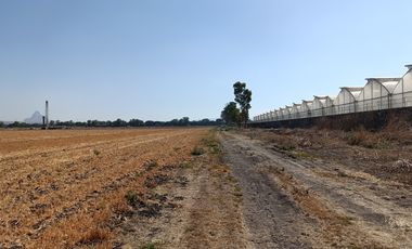 RANCHO AGRÍCOLA EN VENTA EN ZONA BERNAL QUERETARO