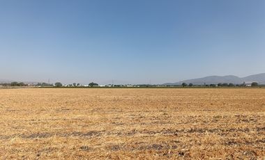 RANCHO AGRÍCOLA EN VENTA EN ZONA BERNAL QUERETARO