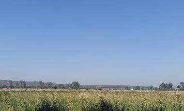 RANCHO AGRÍCOLA EN VENTA EN ZONA BERNAL QUERETARO