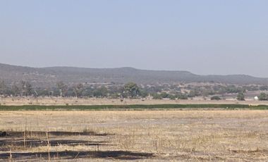 RANCHO AGRÍCOLA EN VENTA EN ZONA BERNAL QUERETARO