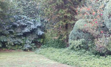 SE RENTA DEPARTAMENTO EN BOSQUE DE LAS LOMAS