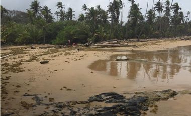 VENTA FINCA EN CIUDAD DE COLÓN 34 HECTREAS