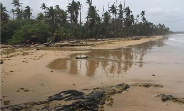 VENTA FINCA EN CIUDAD DE COLÓN 34 HECTREAS