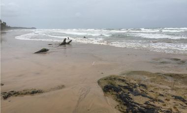 VENTA FINCA EN CIUDAD DE COLÓN 34 HECTREAS