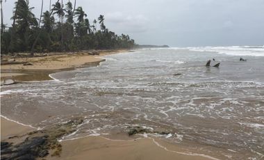 VENTA FINCA EN CIUDAD DE COLÓN 34 HECTREAS