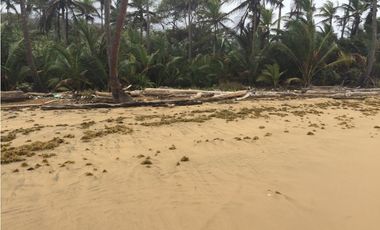 VENTA FINCA EN CIUDAD DE COLÓN 34 HECTREAS