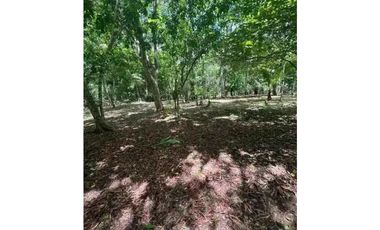 VENTA DE FINCA EN CALZADA LARGA CAIMITILLO