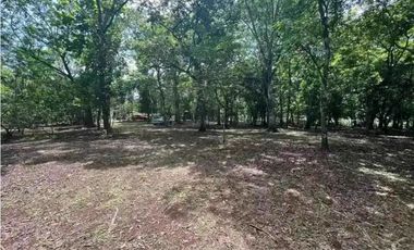 VENTA DE FINCA EN CALZADA LARGA CAIMITILLO