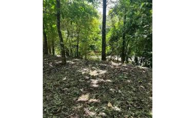 VENTA DE FINCA EN CALZADA LARGA CAIMITILLO