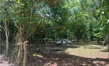 VENTA DE FINCA EN CALZADA LARGA CAIMITILLO