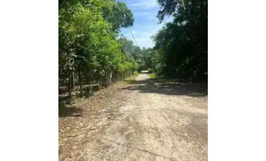 VENTA DE FINCA EN CALZADA LARGA CAIMITILLO