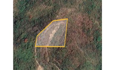 REMATE DE  FINCA EN PLAYA CAMBUTAL LOS SANTOS FRENTE AL MAR