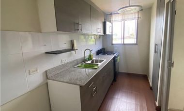 VENTA DE APARTAMENTO EN CHANIS PH PARK 24